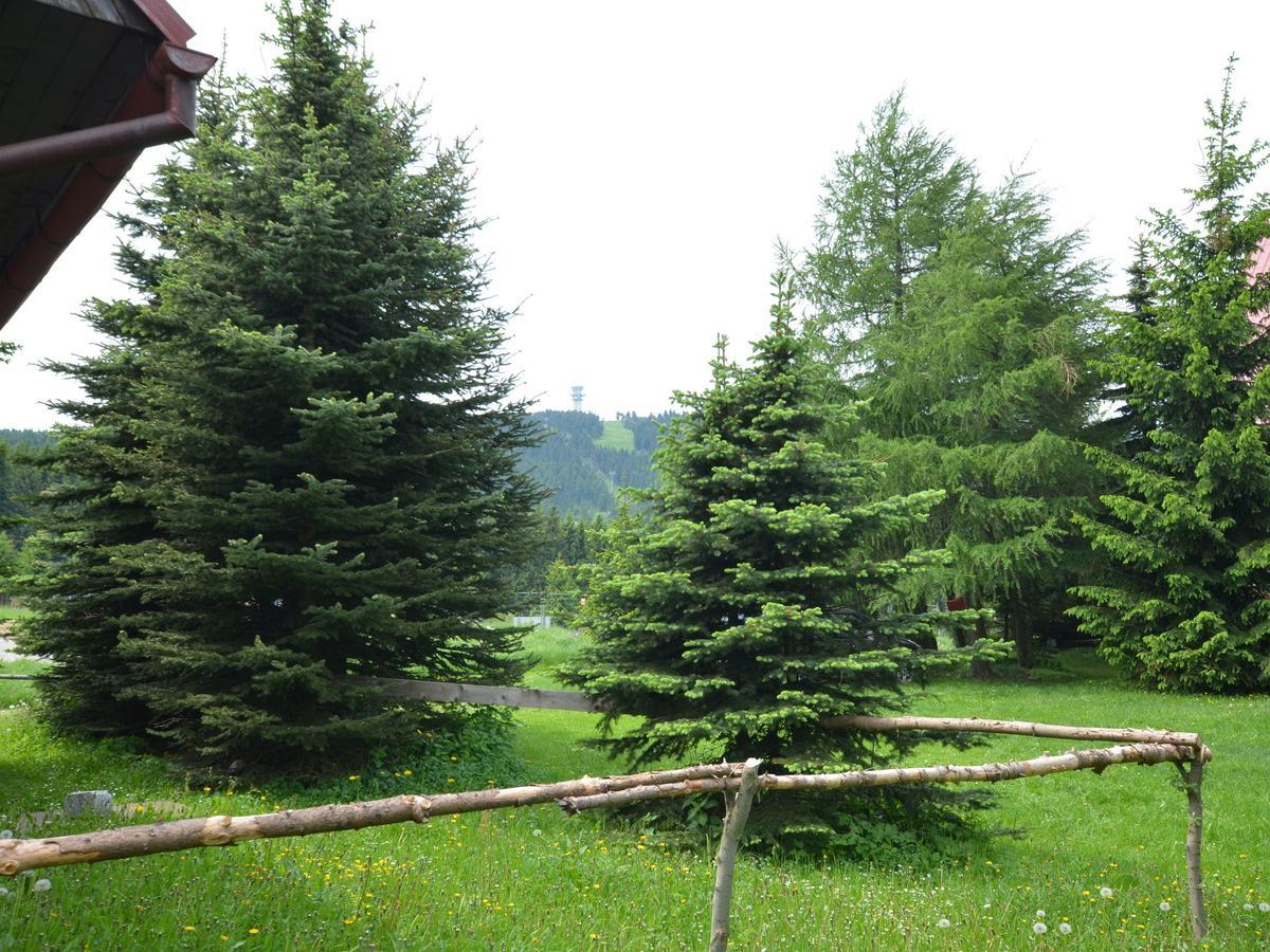 Nice Holiday Home In The Ore Mountains Only 500M From The Chairlift Loučná pod Klínovcem Eksteriør bilde